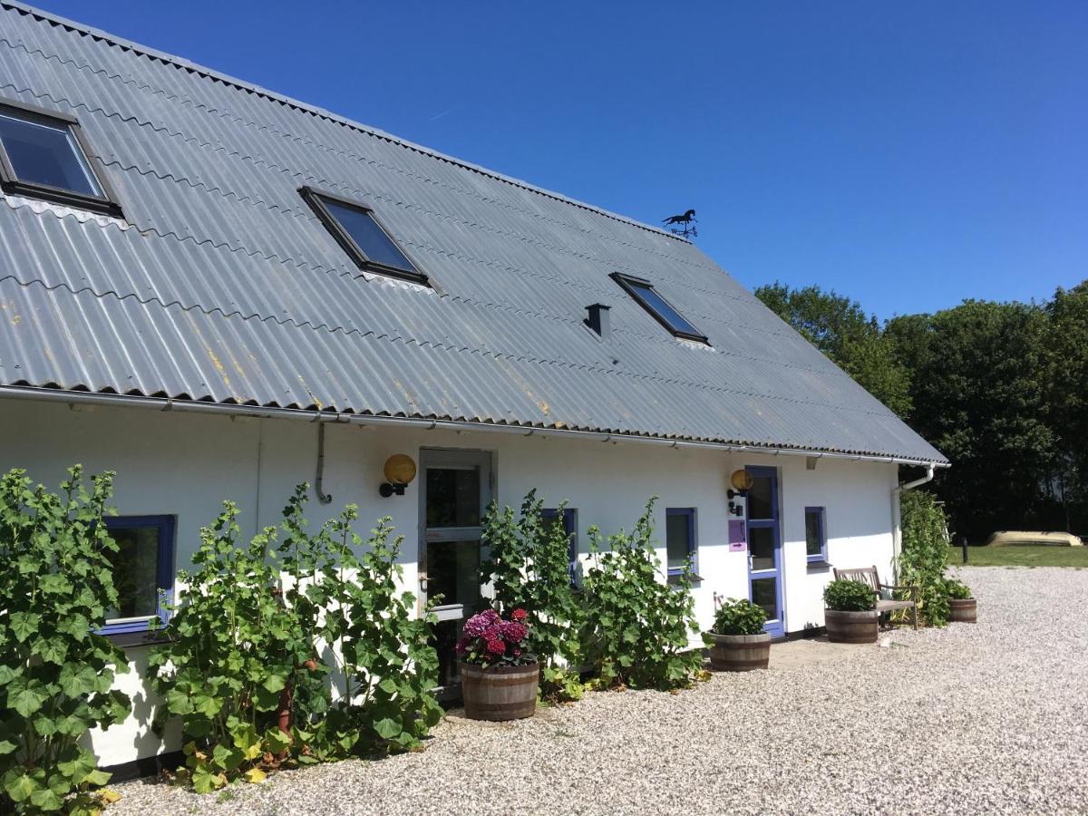 Willa Rolso Retreat Knebel Zewnętrze zdjęcie